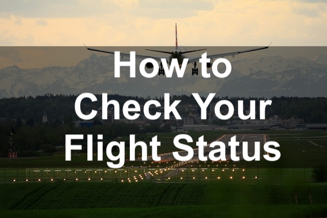 How To Check Your Flight Status